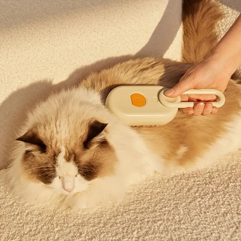 🎁 Cepillo vapor para  mascota
