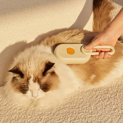 🎁 Cepillo vapor para  mascota