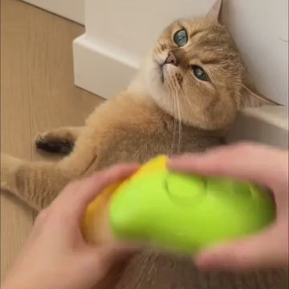 🎁 Cepillo vapor para  mascota